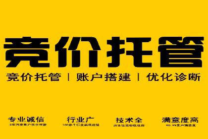 SEM优化公司实战案例：如何精准投放广告